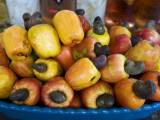 Cashew Fruit Photographic Print by Viviane Ponti