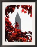 The Washington Monument Surrounded by the Brilliant Colored Leaves Framed Photographic Print by Ron Edmonds