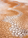 Dry Cracked Earth Fotografie-Druck von Rachel Lewis