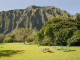 Picnic Area at Hoomaluhia Botanical Garden Photographic Print by Linda Ching