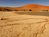 Sossusvlei Filled with Water after Exceptional Rains in 2006, Namib-Naukluft National Park Photographie par Ariadne Van Zandbergen