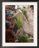 Bangladeshi Children Feed Sacrificial Camel Framed Photographic Print by Pavel Rahman