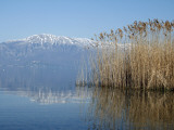 Lake Ohrid Shore with Macedonian Mountains in Background Photographic Print by Patrick Syder