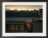 A Worker Cuts a Piece off a Roof That was Torn Away During a Storm in Prague, January 19, 2007 Framed Photographic Print by Petr David Josek