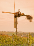 Vineyard Windmill Photographie par Richard Nebesky