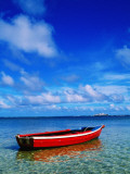 Small Boat at Anchor Photographic Print by Ralph Hopkins