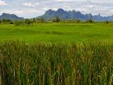 Peaks in Khao Sam Roi Yot National Park across Fields Photographic Print by Nicholas Reuss