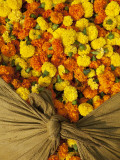 Single Marigolds of Yellow and Orange are Sold by Bagful to Local Worshippers Photographie par April Maciborka