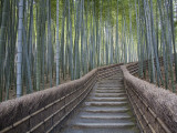 Stairway Through Bamboo Grove Above Adashino Nembutsu-Ji Temple Fotoprint van Brent Winebrenner Stairway Through Bamboo Grove Above Adashino Nembutsu-Ji Temple Fotoprint van Brent Winebrenner