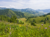 Mountains, Flower-Filled Meadows, and Farmland of the Altai Republic at Altayskiy Photographic Print by Tim Makins