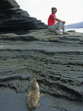 Sea Lion Cub Watching Visitor on Eroded Lava Rocks at Puerto Egas Photographic Print by Manfred Gottschalk