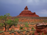 Lone Tree with Rock Formations in Desert Landscape with Storm Clouds in Valley of the Gods Photographic Print by Ruth Eastham & Max Paoli