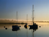 Moored Boats at Sunrise Fotografie-Druck von Richard l'Anson