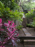 Casa Blanca Museum and Garden (Juan Ponce De Leon's Family Residence) Fotografie-Druck von Rachel Lewis