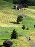 Overhead of Road Through Green Pastures Fotografisk trykk av Bruce Bi