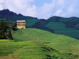 Hotel Overlooking the Dragon's Backbone Rice Terraces Near Longsheng Fotografiskt tryck av Richard l'Anson Hotel Overlooking the Dragon's Backbone Rice Terraces Near Longsheng Fotografiskt tryck av Richard l'Anson