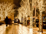 Trees Decorated with Lights at Night Fotografie-Druck von Richard l'Anson
