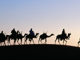 Desert Just Outside Timbuktu, Tuareg Camels at Sunset Photographic Print by Tony Wheeler