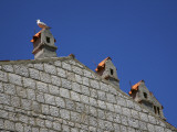 Chimney Pots and Seagull in Historic Centre of Rab Town Photographic Print by Ruth Eastham & Max Paoli
