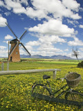 Lily Windmill with Stirling Ranges in Distance. Fotografisk tryk af Orien Harvey
