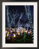Christmas Lights, Saugus, Massachussets Framed Photographic Print by Lisa Poole