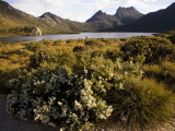 Dove Lake and Cradle Mountain Fotografisk trykk av Andrew Bain Dove Lake and Cradle Mountain Fotografisk trykk av Andrew Bain