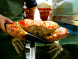 Large Crab at Chinese Restaurant, Chinatown Lámina fotográfica por Oliver Strewe