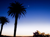 Sydney Opera House at Dawn with Trees in Silhouette Fotografisk trykk av Tim Barker Sydney Opera House at Dawn with Trees in Silhouette Fotografisk trykk av Tim Barker