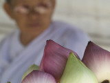 Buddhist Nun Selling Lotus Blossoms, Wat Chana Songkhram Photographic Print by Brent Winebrenner
