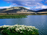 Laguna Nimes on Edge of El Calafate Fotografisk trykk av Andrew Bain Laguna Nimes on Edge of El Calafate Fotografisk trykk av Andrew Bain