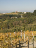 Vineyards and Church on Top of Hill Photographie par Richard Nebesky