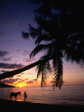 Horse and Rider Take an Easy Stroll Along Cane Bay in St Croix Photographic Print by Steve Simonsen