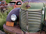 Rusted Pick-Up Trucks Photographic Print by Ray Laskowitz