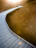 Pathway at Painted Hills Photographic Print by Tyler Roemer