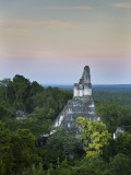 Temple of Great Jaguar (Temple I) Rising Above Tree Tops Photographic Print by Sean Caffrey