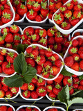 Strawberries for Sale at Market at Campo De' Fiori Photographic Print by Richard l'Anson