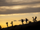 Young Man and Woman Hiking Through Desert at Sunset Photographic Print by Tyler Roemer