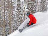 Snowboarder Enjoying Deep Fresh Powder at Brighton Ski Resort Fotografisk tryk af Paul Kennedy
