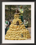 Playful Orangutans, Seoul, South Korea, c.2007 Framed Photographic Print by Lee Jin-man