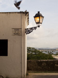 Pigeons Above Street Lamp in Parque De Las Palomas in Old San Juan Photographic Print by Steven Greaves