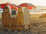 Surfboards on Lighthouse Beach in Late Afternoon Sunlight Photographic Print by Tim Makins