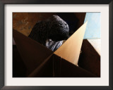 Sudanese Woman Fills Her Ballot at a Polling Station Framed Photographic Print
