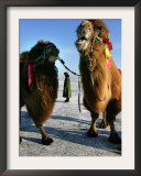 A Chinese Horse Buggy Driver Waits for Customers on a Frozen Lake in Harbin, China, January 7, 2007 Framed Photographic Print by Elizabeth Dalziel