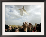 Greek Orthodox Priest Releases a Dove During a Traditional Ceremony at Jordan River Baptismal Site Framed Photographic Print