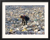An Impoverished Mongolian Man Sorts Through Garbage at an Ulan Bator Dump Framed Photographic Print