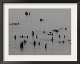 Bathers Take Advantage of the Fine Weather Prevailing in Jordan to Swim in the Dead Sea Framed Photographic Print