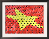 Vietnamese Students Flip Colored Placards Framed Photographic Print