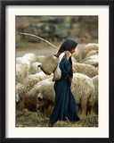 An Iraqi Shepherd, a Young Girl, Herds Her Sheep Framed Photographic Print