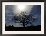 Man Sits on a Bench in the Olympic Park and Enjoys the Spring Weather in Munich, Southern Germany Framed Photographic Print
