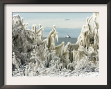 US Coast Guard Icebreaker Along the Shore of Lake Erie as Ducks Fly Overhead Framed Photographic Print